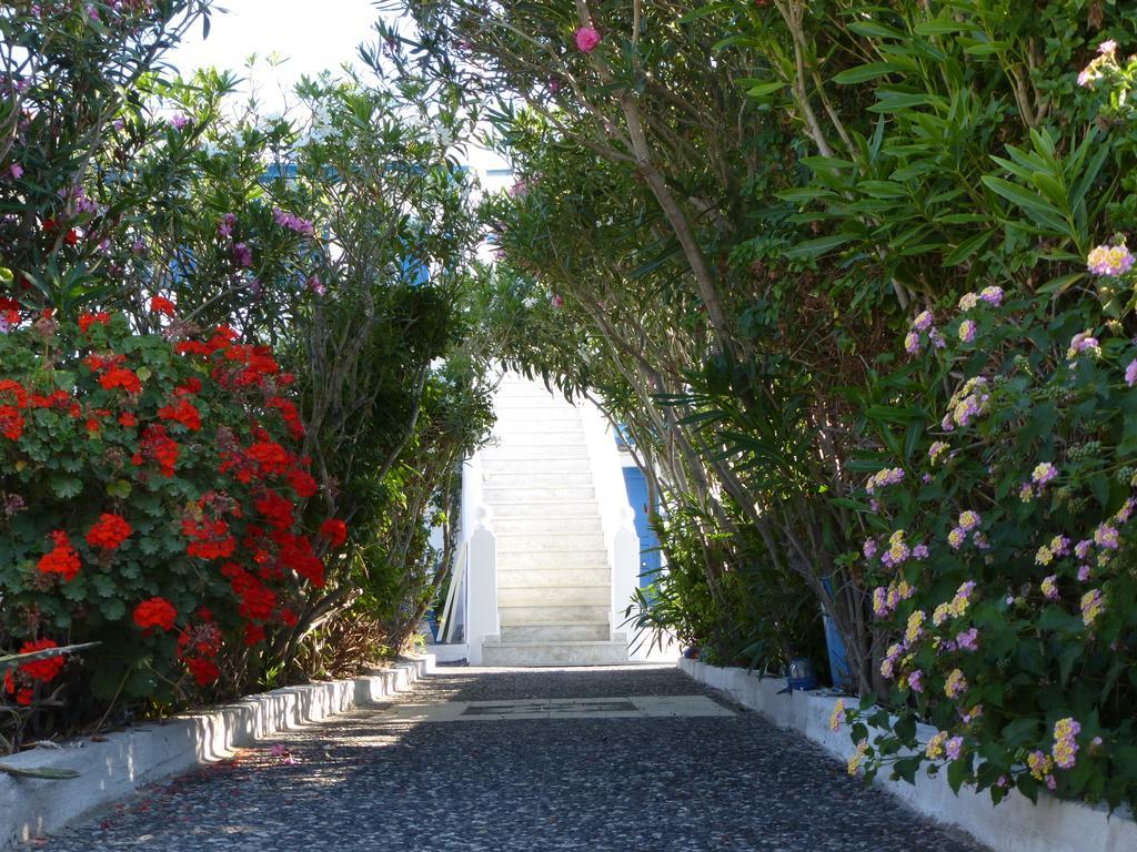 Thira'S Dolphin Aparthotel Akrotiri  Exterior photo