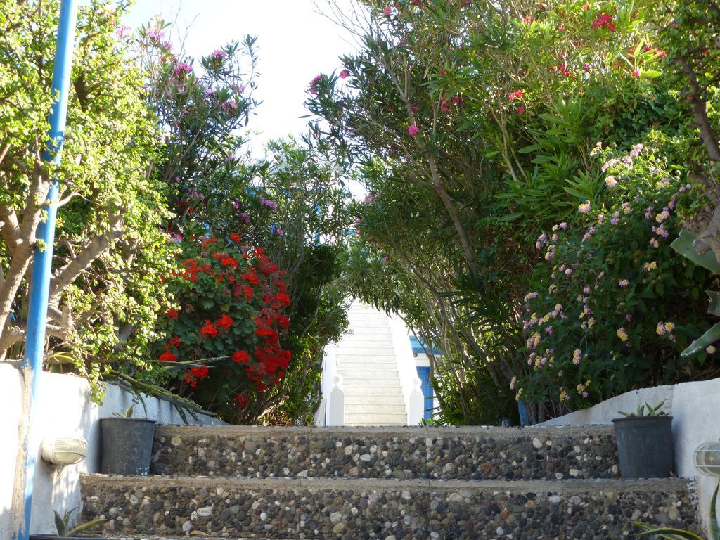 Thira'S Dolphin Aparthotel Akrotiri  Exterior photo